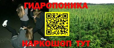 дмт Вязьма