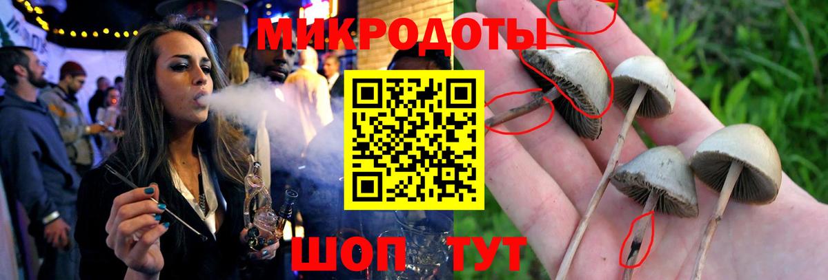 Псилоцибиновые грибы мухоморы Гуково